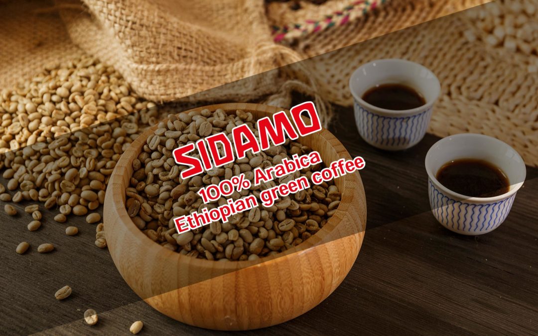 Äthiopischer Sidamo Kaffee – hervorragende Qualität & feiner Geschmack