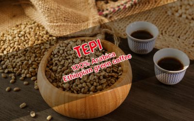 Tepi Kaffee – der Unbekannte Spezialitätenkaffee aus Äthiopien